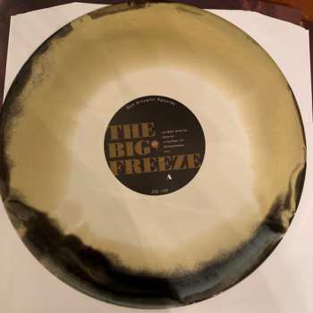 LP Laura Stevenson: The Big Freeze