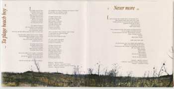 CD Laurent Voulzy: Caché Derrière