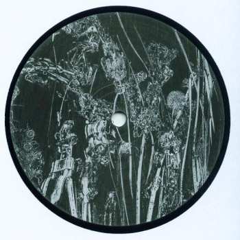 LP Lawrence: Deep Summer Hole