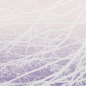 Album Lea Bertucci: Metal Aether