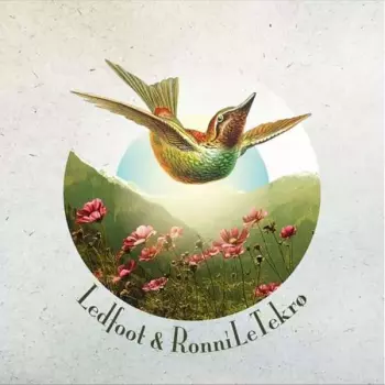 Ledfoot & Ronni Le Tekrø