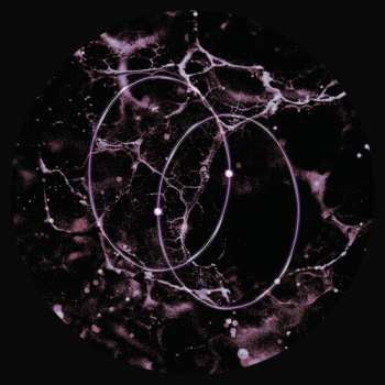 Album Len,leo: Echolocation