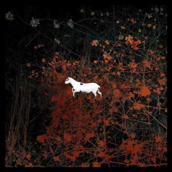 2LP/2CD/DVD/Box Set Les Discrets: Prédateurs LTD | CLR