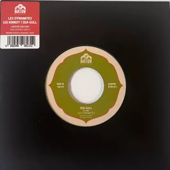 Uzi Kinrot / Sea Gull