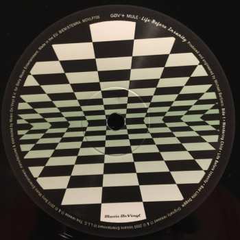 2LP Gov't Mule: Life Before Insanity