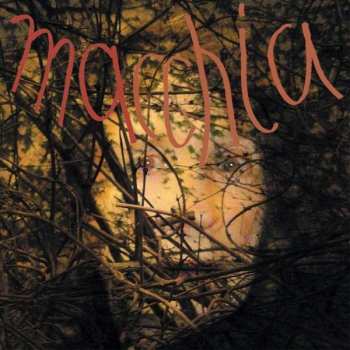 LP Limpe Fuchs: Macchia Forest