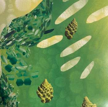 2CD Lina Nyberg: Terrestrial