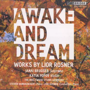 Awake And Dream | Works By Lior Rosner