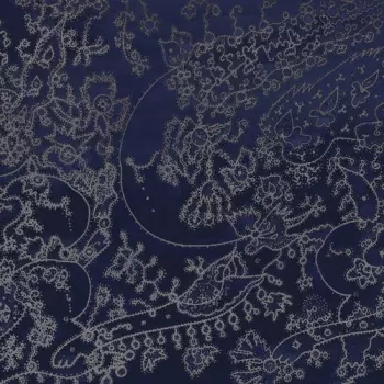 Svitlana Nianio: Lisova Kolekciya