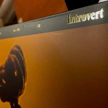 2LP Little Simz: Sometimes I Might Be Introvert CLR | LTD