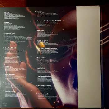 2LP Little Simz: Sometimes I Might Be Introvert CLR | LTD