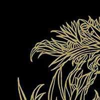 SP Logh: An Alliance Of Hearts