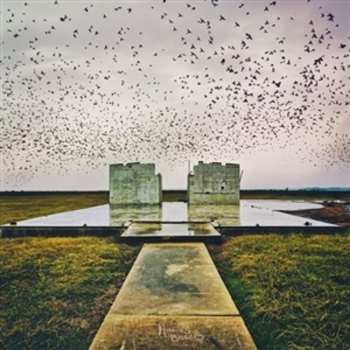 LP Lord Buffalo: Holus Bolus CLR | LTD