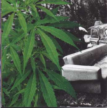 CD Los Cafres: Instinto