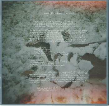 CD Los Campesinos!: Hello Sadness DIGI