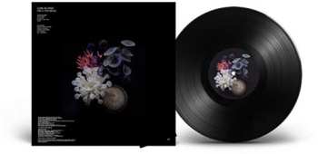 LP Low Island: Life In Miniature