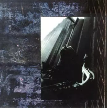 Luc Houtkamp: In Chicago