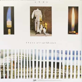 2LP Lync: These Are Not Fall Colors CLR | LTD | DLX