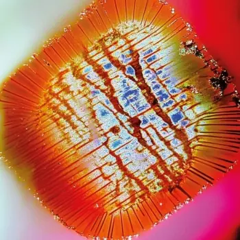 Mac Declos: Nothing Stands Still