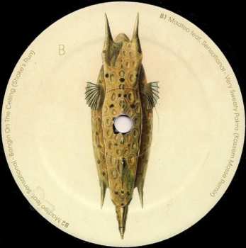 LP Sensational: ReCast