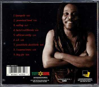 CD Majek Fashek: Rainmaker