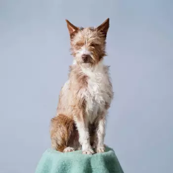 Makez: Different Planets EP