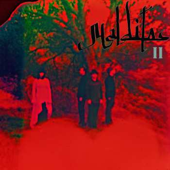 LP Malditos: Le Réve LTD