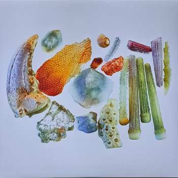 LP Mamalarky: Pocket Fantasy CLR | LTD | NUM