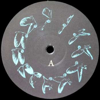 2LP Manu Delago: Circadian Live