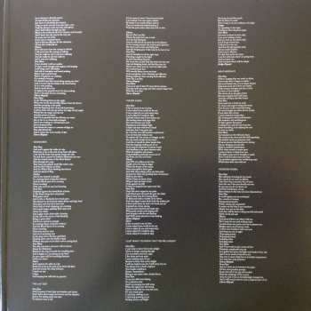 2LP Maria McKee: La Vita Nuova