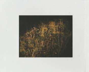 CD Marika Hackman: We Slept At Last