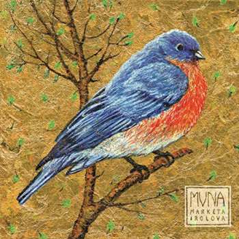 CD Marketa Irglova: Muna DIGI