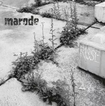 Marode: Risse