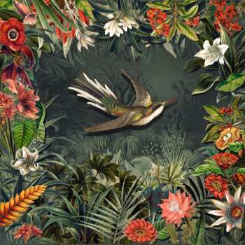 Album Martin Spengler & Die Foischn Wiener: Es Könnt Oba A Ois Gaunz Aundas Sein