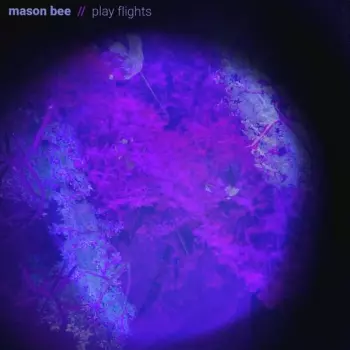 Mason Bee: Play Flights