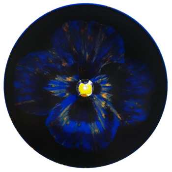 LP Mat Kerekes: Songs For Breanne CLR | LTD