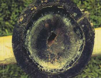 CD Matuto Moderno: 5