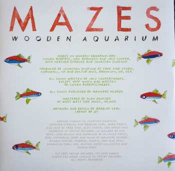 LP Mazes: Wooden Aquarium