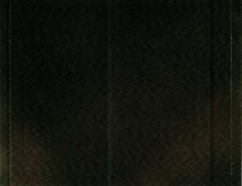 CD Meadow: Blissful Ignorance