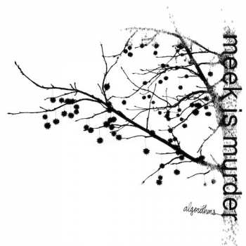 Album Meek Is Murder: Algorithms