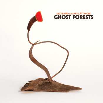 Album Mary Lattimore: Ghost Forests