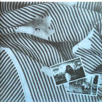 LP Mega Bog: Dolphine CLR | LTD