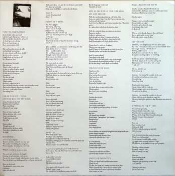 LP Mega Bog: Dolphine CLR | LTD