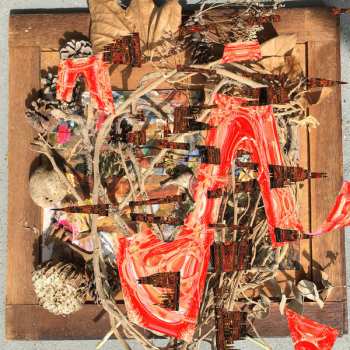 LP Merzbow: Tsubute Mosaic