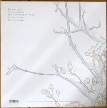 LP Michael Cashmore: The Snow Abides