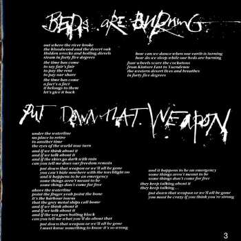 CD Midnight Oil: Diesel And Dust