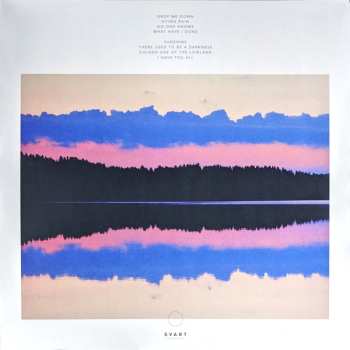 2LP Mikko Joensuu: Amen 2 LTD