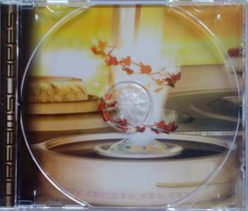 CD Milan Polak: Dreamscapes