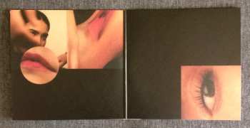 2LP Milk & Bone: Deception Bay