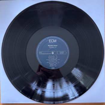 LP Miroslav Vitous: Mountain Call